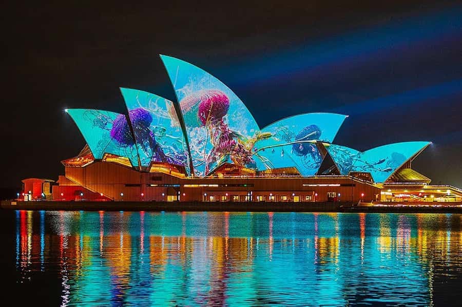 Sydney: Vivid Harbour Cruise with Canapes - Why the Water Makes Vivid Sydney Feel More Personal