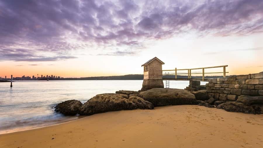 Sydney: Watsons Bay Walking Tour - Circular Quay to Watsons Bay: the ride that sets expectations