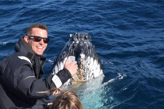 Sydney Whale-Watching by Speed Boat - Who This Sydney Speed-Boat Whale Watch Fits Best
