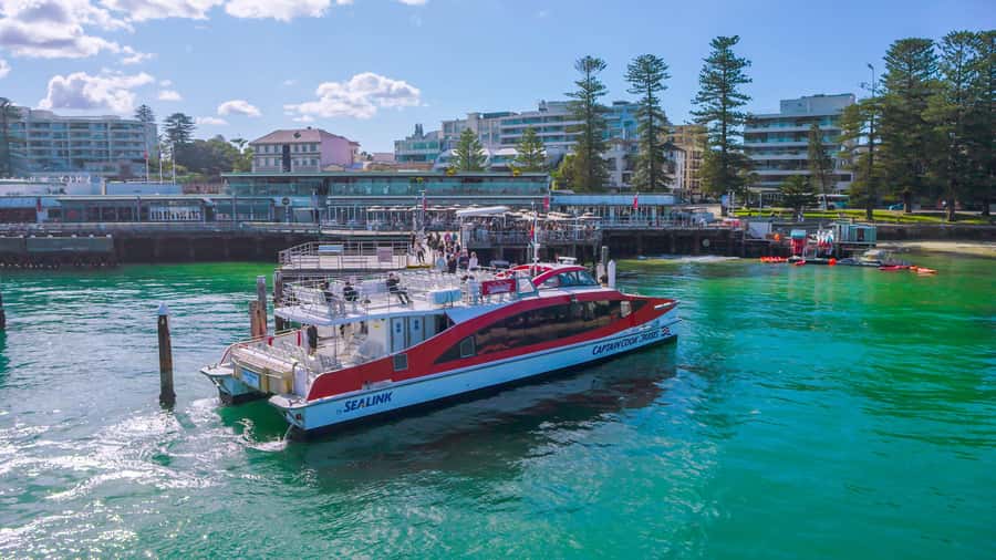 Sydney: Whale Watching & Hop On Hop Off Cruise Package - Why Whale Season Timing Matters Off Sydney