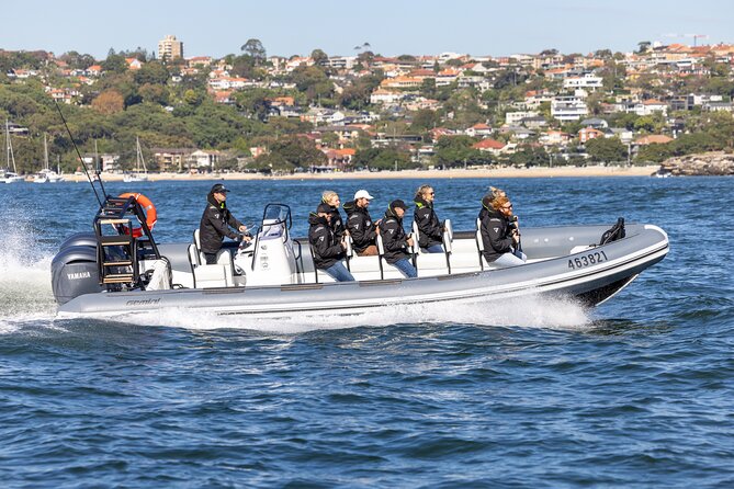 Sydney Whale Watching on Small RIB - Key things I’d clock before you go