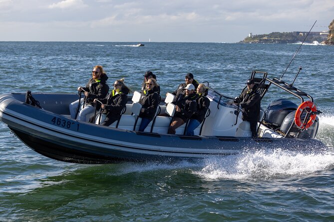 Sydney Whale Watching on Small RIB - The whale search area: humpback behaviors you can actually look for