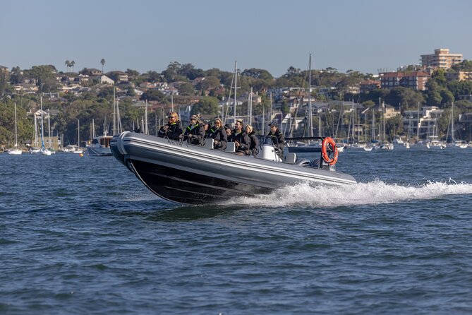 Sydney Whale Watching on Small RIB - The return ride back to Circular Quay: speed plus coastline views