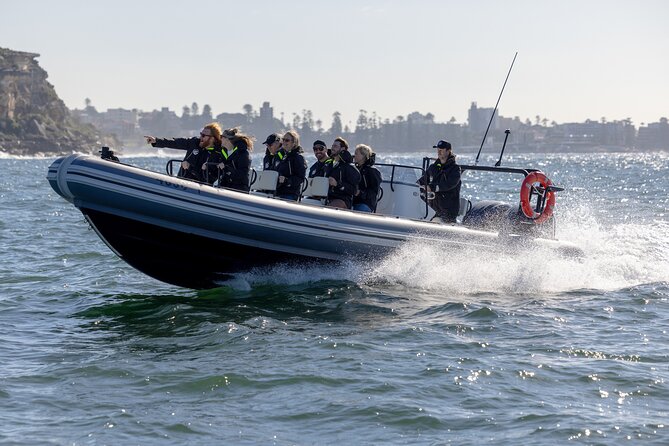 Sydney Whale Watching on Small RIB - Price and value: $98.93 for a small, fast, guided experience