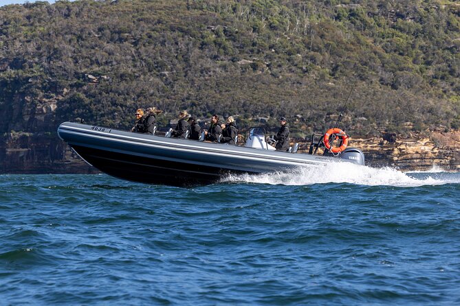 Sydney Whale Watching on Small RIB - Who should book this RIB, and who might want a different style
