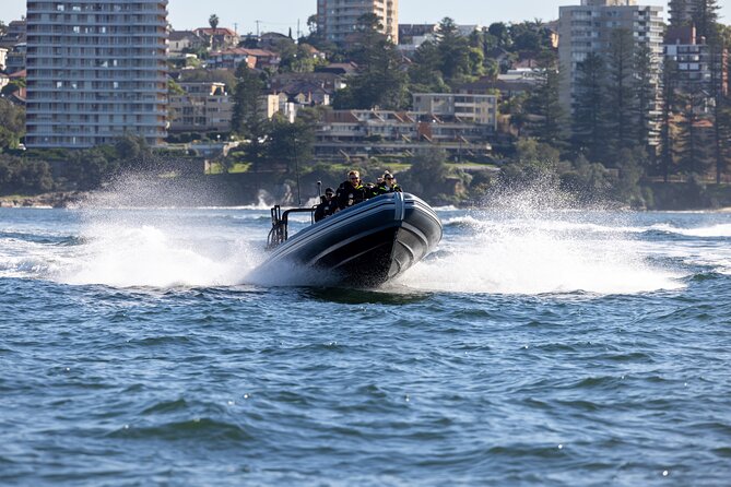 Sydney Whale Watching on Small RIB - Should you book Ocean Extreme’s small RIB whale watch?