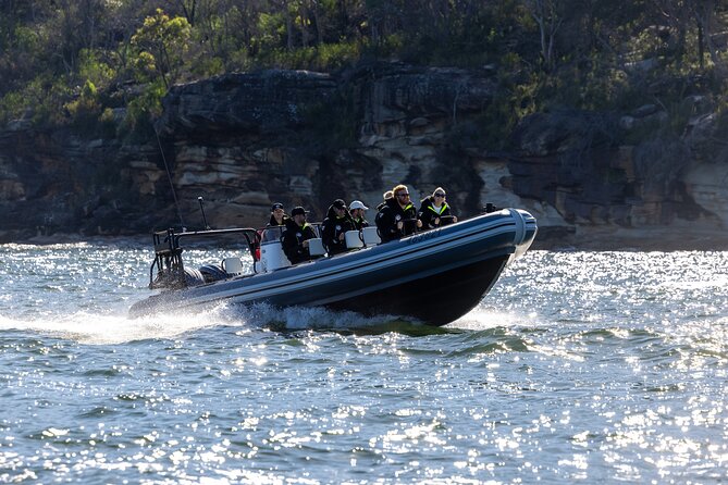 Sydney Whale Watching on Small RIB - Circular Quay to Sydney Heads: a quick sightseeing hit with real energy