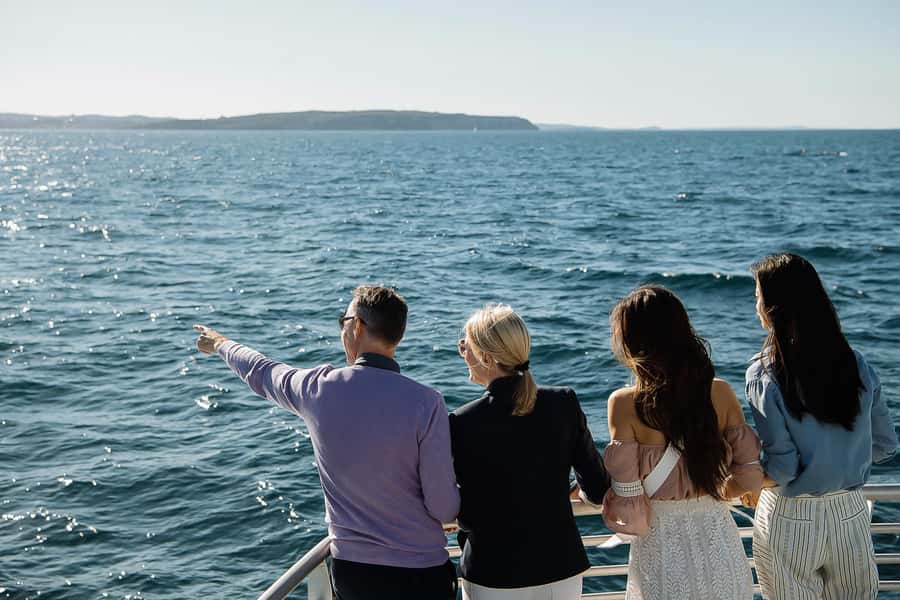 Sydney: Whale Watching & Wildlife Cruise - Why Sydney in May to November Is Prime Whale Time