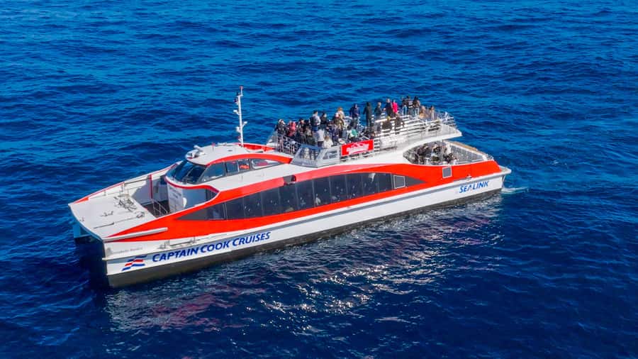 Sydney: Whale Watching & Wildlife Cruise - More Than Whales: Dolphins, Seals, Penguins, and Birds
