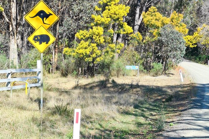 Sydney Wildlife Safari - The Afternoon Bird Show and What to Look for First