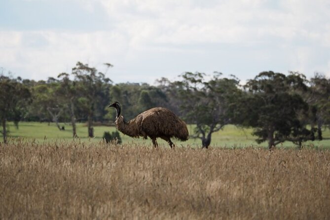 Sydney Wildlife Safari - How the Safari Works on Private Farmland and Bushland