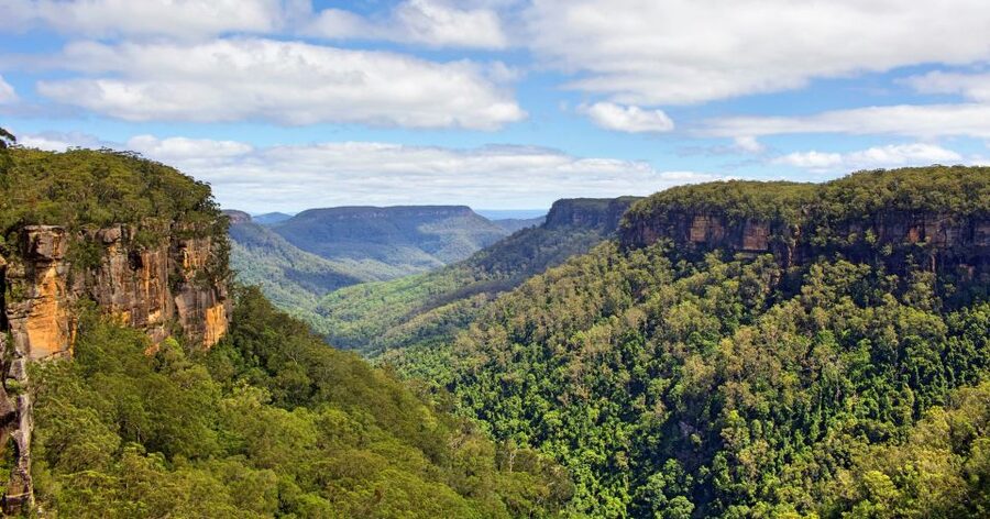 Sydney: Wildlife, Waterfalls and Wine Small Group Tour - Morton National Park: the sandstone gorges and towering waterfall walk