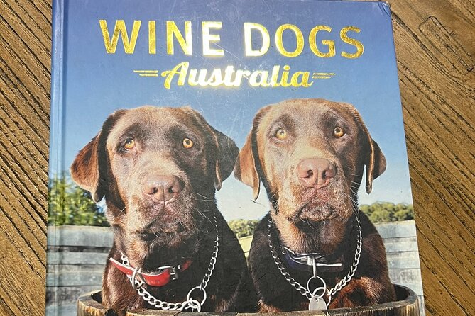 Sydney Wine Tasting & Southern Highlands with Pick up & drop off - Stop 4: Artemis Wines for a Boutique, Small-Batch Finish (About 45 Minutes)