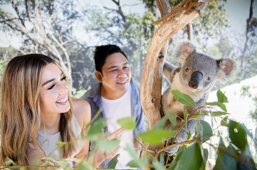 Sydney Zoo Admission Ticket - African Boardwalk: mixed-species habitats you can actually enjoy