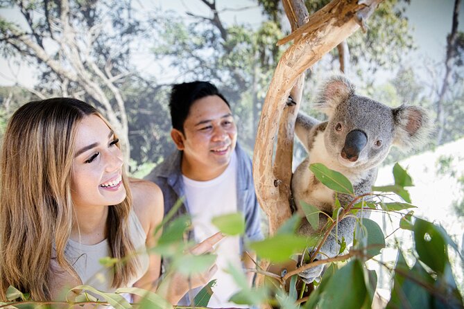 Sydney Zoo General Entry Admission Ticket - Walking your route through themed habitats: African Boardwalk to Primate Boulevard