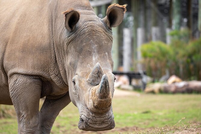 Sydney Zoo General Entry Admission Ticket - Getting there without stress: mobile ticket, public transport, and free parking