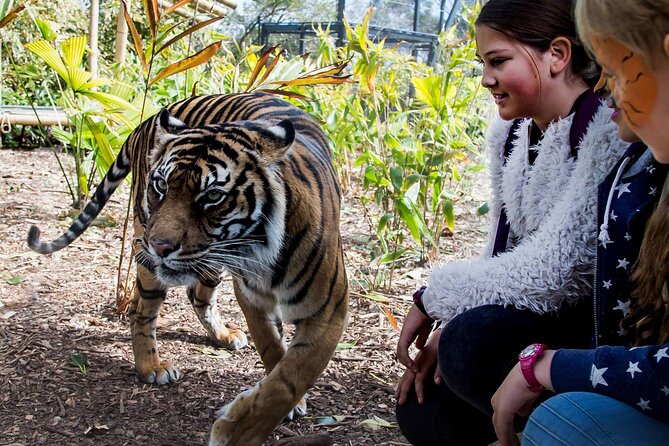 Taronga Zoo + Ferry Return Ticket - Key Highlights To Know Before You Go