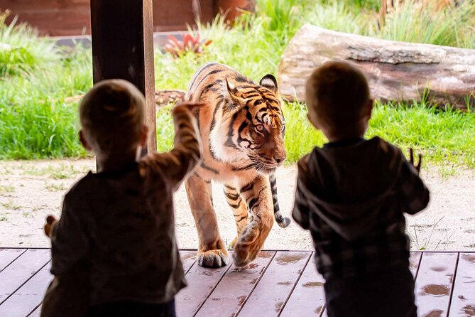 Taronga Zoo + Ferry Return Ticket - Darling Harbour and Circular Quay: Your Easy Start Point