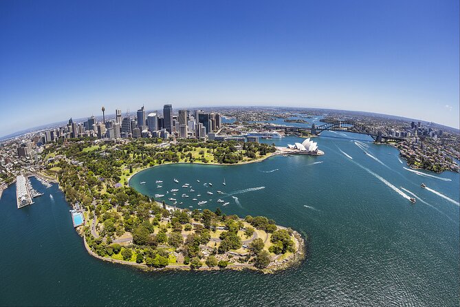 Taronga Zoo + Ferry Return Ticket - Getting Up the Hill: Shuttles, Walking Routes, and Timing