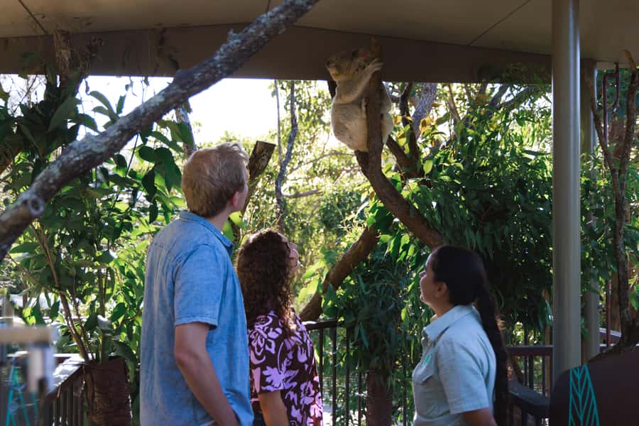 Taronga Zoo Sydney Wild Australia Experience - Key Highlights to Look For