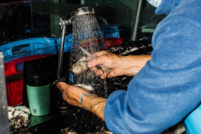Taste of Sydney Fish Market Food Tour - Where you start and how the timing keeps things easy