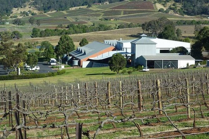 The REAL Hunter Valley Tour - Key highlights to know before you go