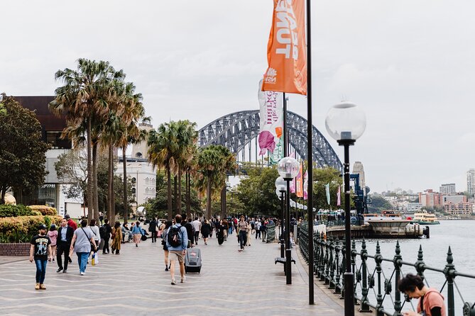 The Rocks and Sydney Harbour 1 Hour Guided Walking Tour - Group size, guide interaction, and the feel of a one-hour tour