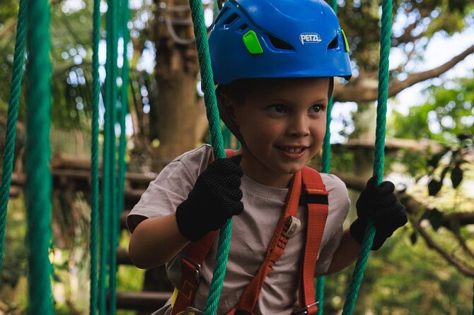 Treetops Adventure The Hills Junior Ropes Course - Where Treetops Adventure The Hills fits in Sydney