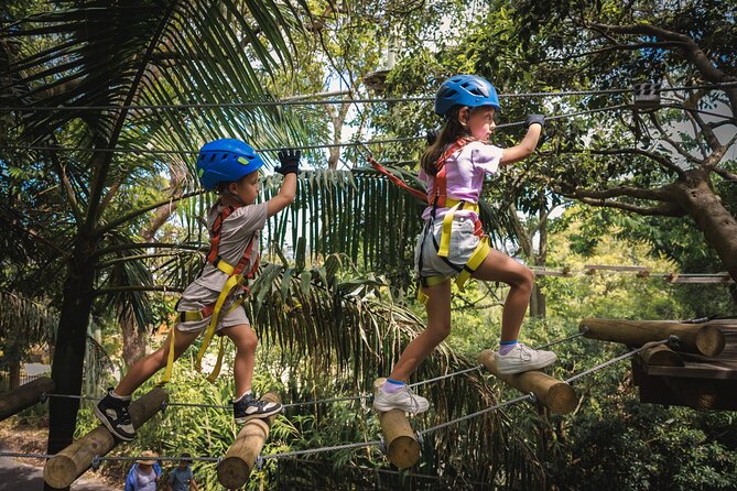 Treetops Adventure The Hills Junior Ropes Course - Parents must supervise, and that’s part of the deal