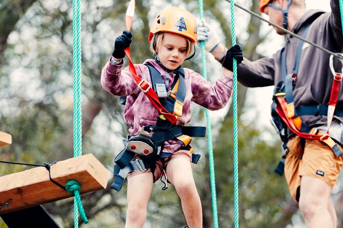 Treetops Adventure The Hills Junior Ropes Course - Why zip lines and swings work so well for families