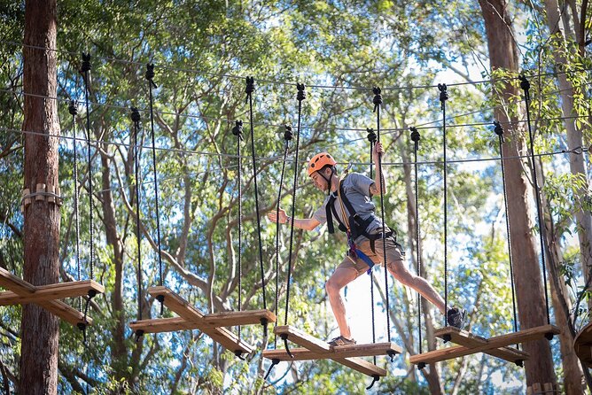 Treetops Adventure The Hills - Tree Ropes Course - Choosing from 9 tree ropes courses and difficulty levels