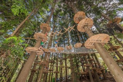 Treetops Adventure The Hills – Tree Ropes Course
