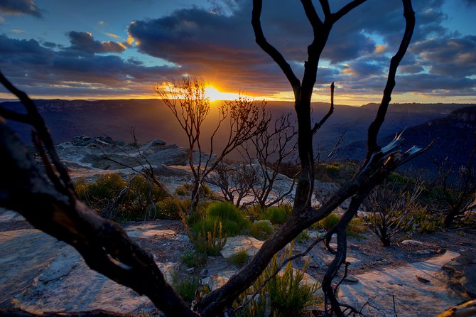 Ultimate Blue Mountains and Wildlife Tour - Key highlights you should care about