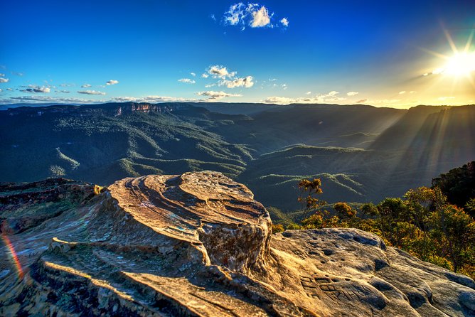 Ultimate Blue Mountains and Wildlife Tour - Glenbrook wildlife time: where the day comes alive