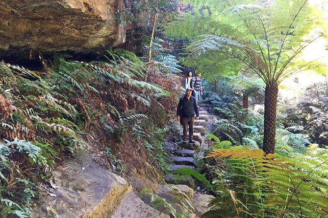 Ultimate Blue Mountains Private Tour with Scenic World and Wildlife Park - Leura lunch and Leura Mall: a reset between rides and return travel