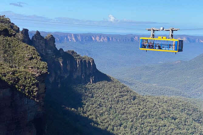 Ultimate Blue Mountains Private Tour with Scenic World and Wildlife Park - Price and logistics: when $638.35 per person feels like value