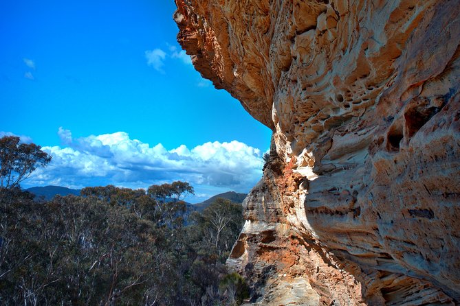 Unforgettable Blue Mountains Day Tour - Price and value for $413, and what that buys you