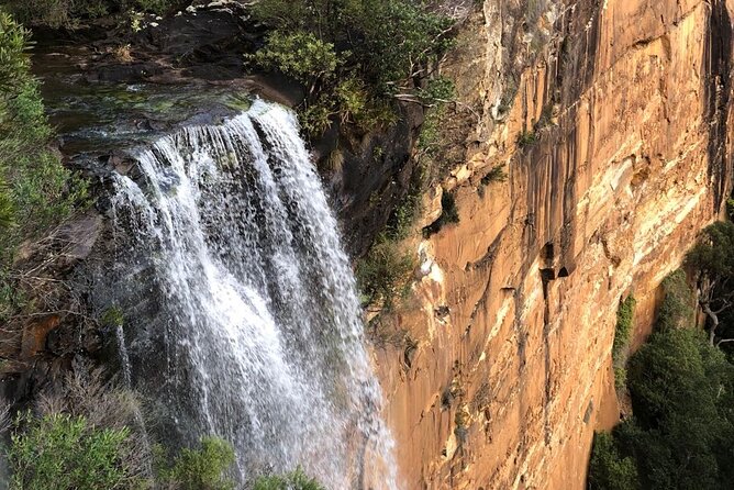 Walking with Wild Wombats Private Day Trip from Sydney - Is $426.76 Per Person Worth It?