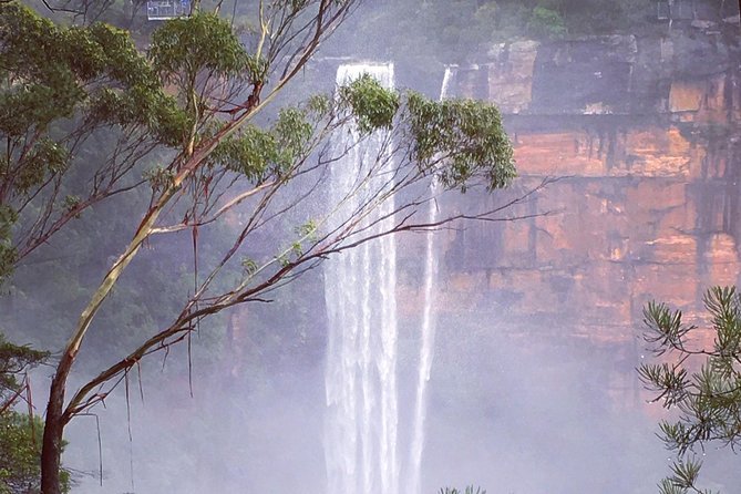 Waves Waterfalls and Wineries Full-Day Southern Highlands Private Tour - Fitzroy Falls Clifftop Walk: Quick Legs, Big Views