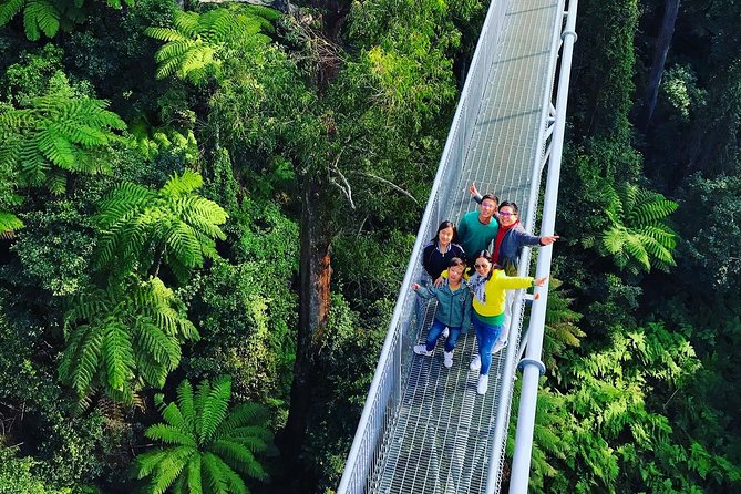 Waves Waterfalls and Wineries Full-Day Southern Highlands Private Tour - Price and Value for a Private Southern Highlands Day