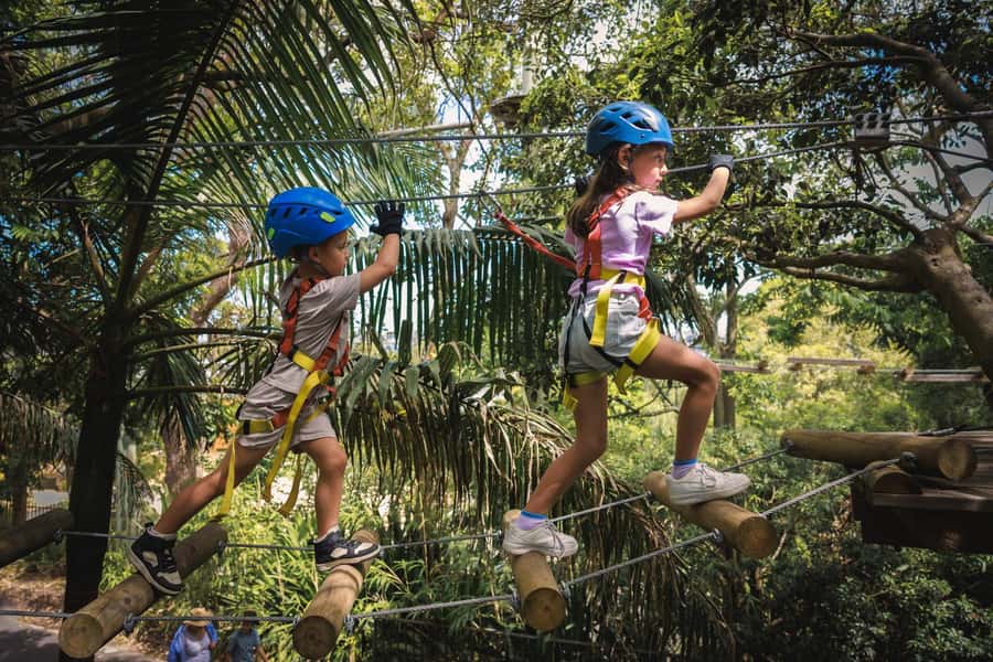 Western Sydney: Junior Tree Ropes Courses - Four Junior Courses: What Kids Actually Do Up There