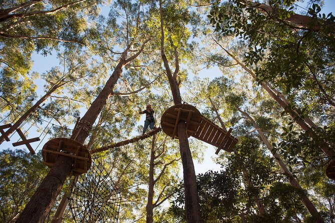 Western Sydney Tree Ropes Course - Why This Treetops Course Feels Like Real Aussie Outdoor Fun
