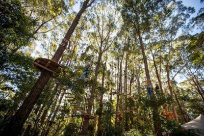 Western Sydney Tree Ropes Course