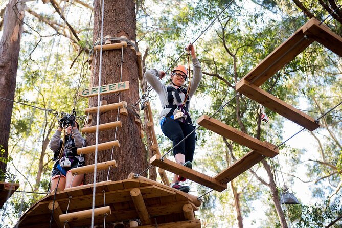 Western Sydney Tree Ropes Course - The Treetop Setting: Kookaburras, Fresh Air, and a Workout