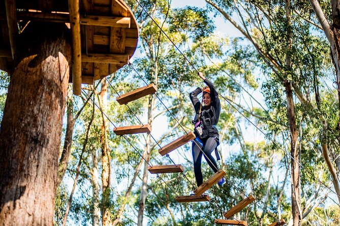 Western Sydney Tree Ropes Course - Price and Value: What $49.49 Buys You in Real Time