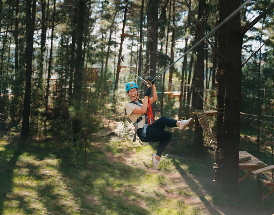Western Sydney: Tree Ropes Courses - Western Sydney Parklands, Up Where the Air Is Thin