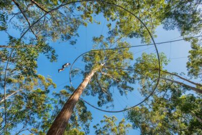 Western Sydney Zipcoaster Experience