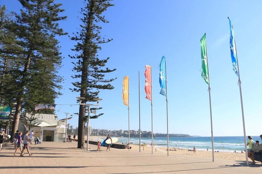 Wet & Dry Manly from Sydney - Timing tips so the half-day feels easy