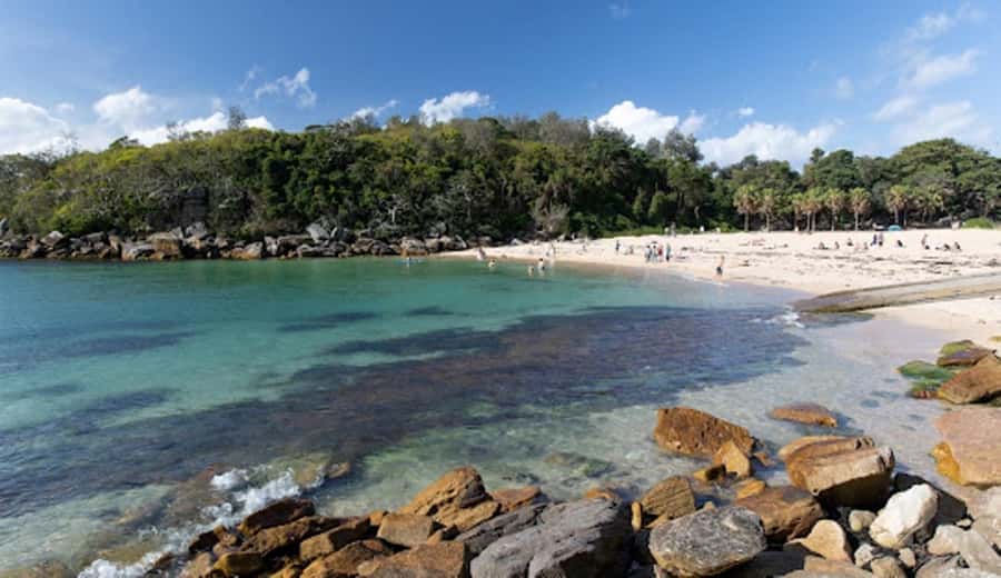 Wet & Dry Manly from Sydney - Harbour Bridge sightings and seasonal wildlife chances