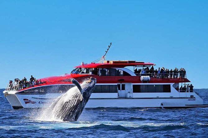 Whale Watching & Hop On Hop Off Sydney Harbour Explorer Cruise - Key highlights to know before you book
